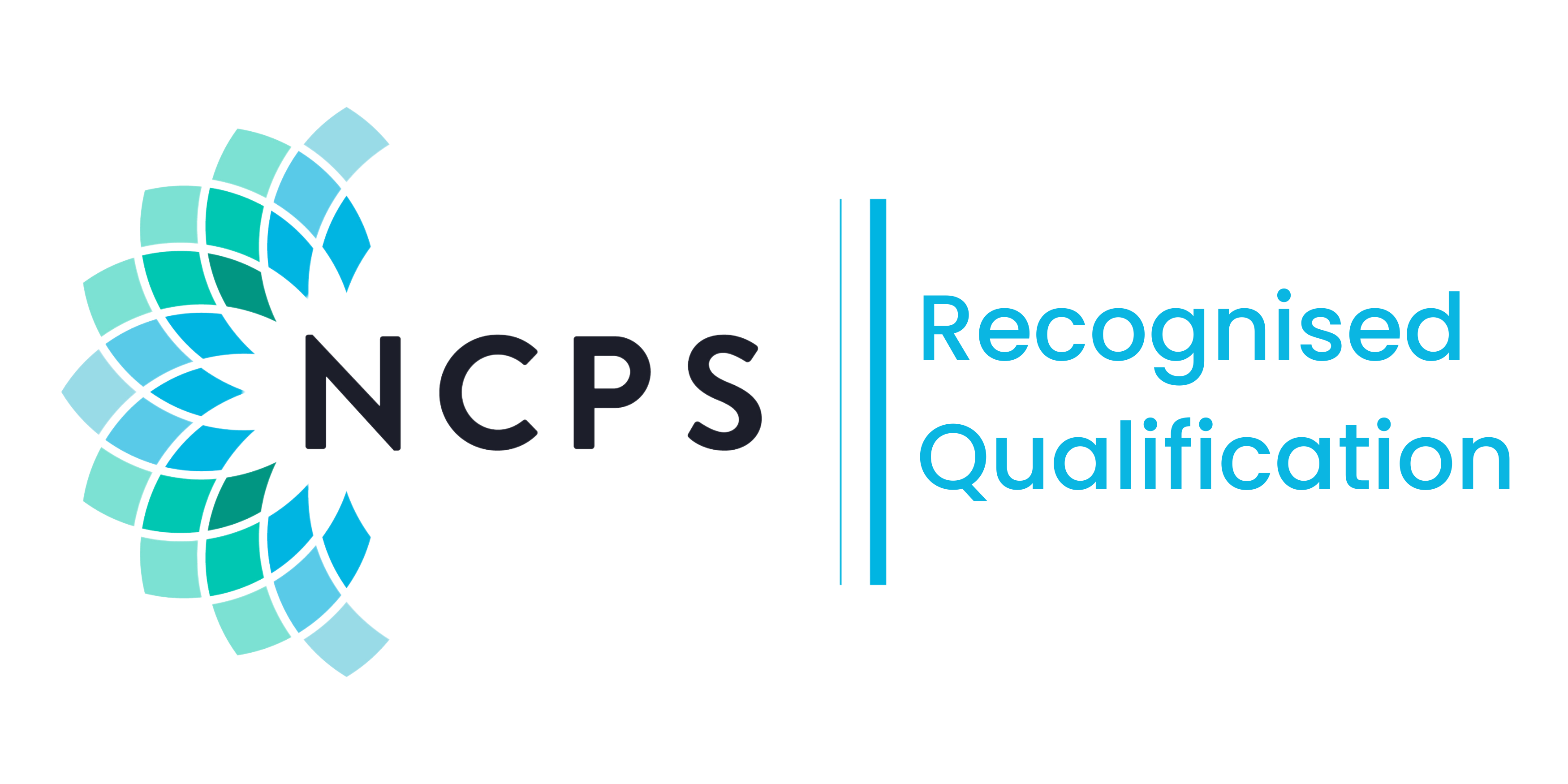 RecQualLogo
